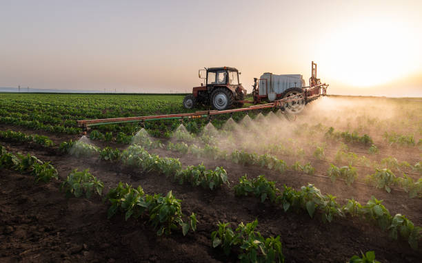 Best Commercial Pest Control Services  in Valle Vista, CA