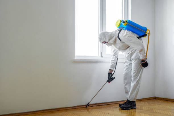 Best Pest Control for Restaurants  in Valle Vista, CA