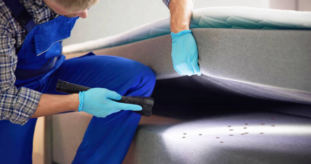 Best Exterminator Services  in Valle Vista, CA