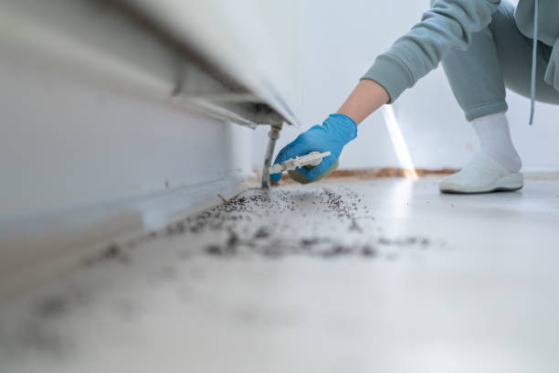 Best Residential Pest Control  in Valle Vista, CA